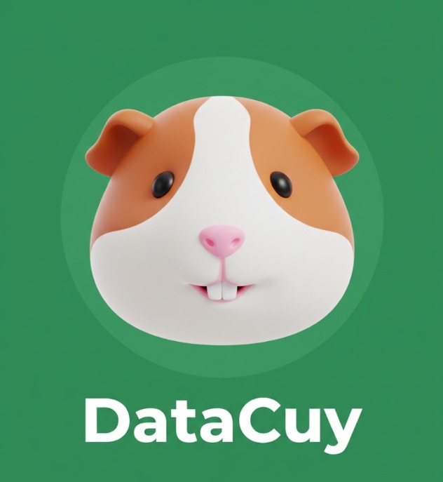 Logo DataCuy